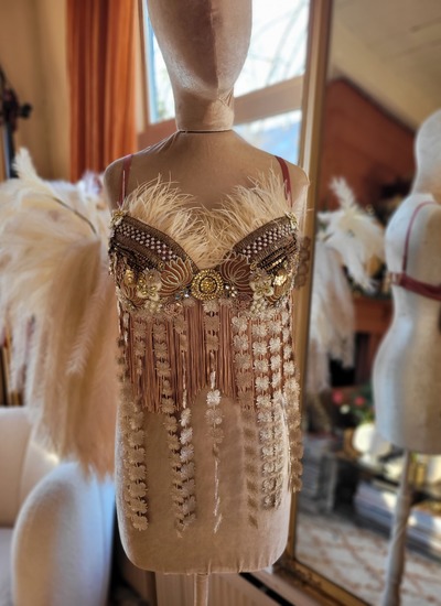 Antique Pink Bra